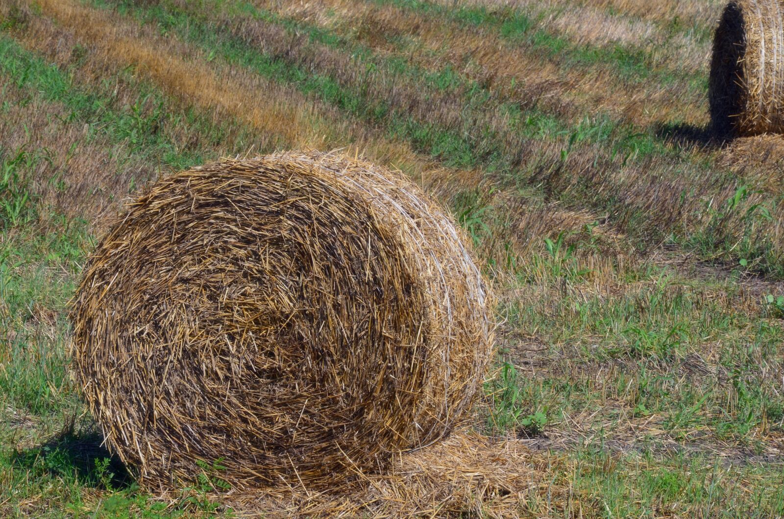 Nikon D5100 sample photo. Straw, bale, harvest photography