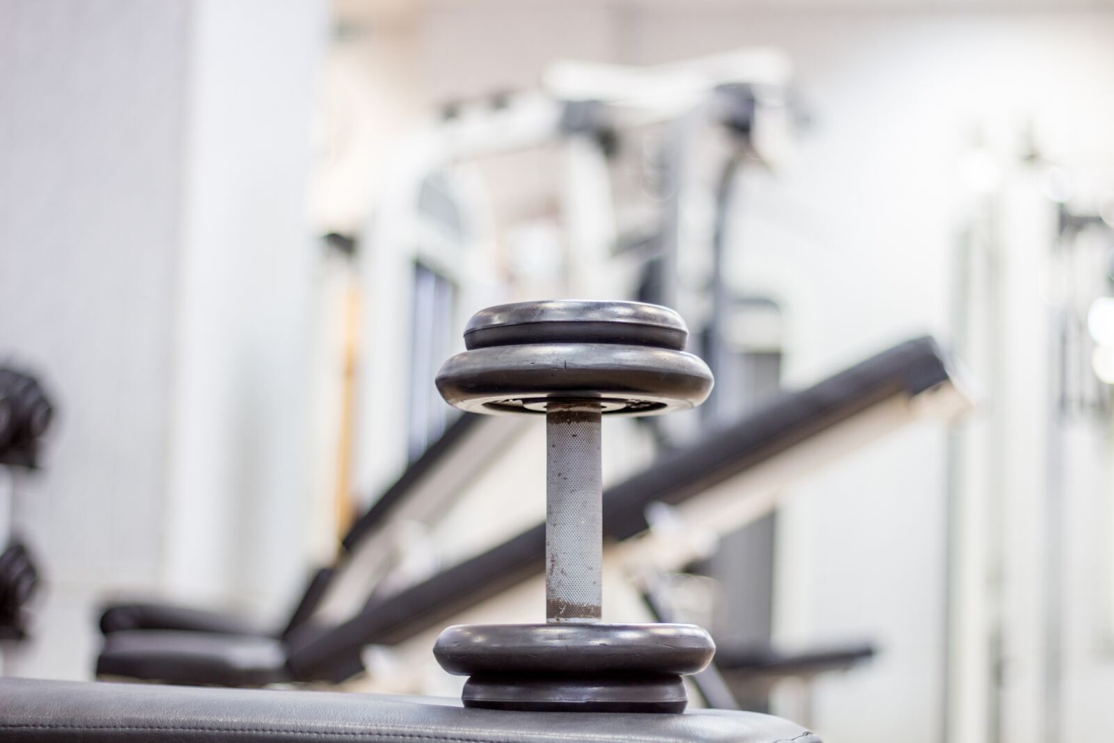 Canon EOS 100D (EOS Rebel SL1 / EOS Kiss X7) + Canon EF 50mm F1.8 II sample photo. Sports, gym, dumbbell photography