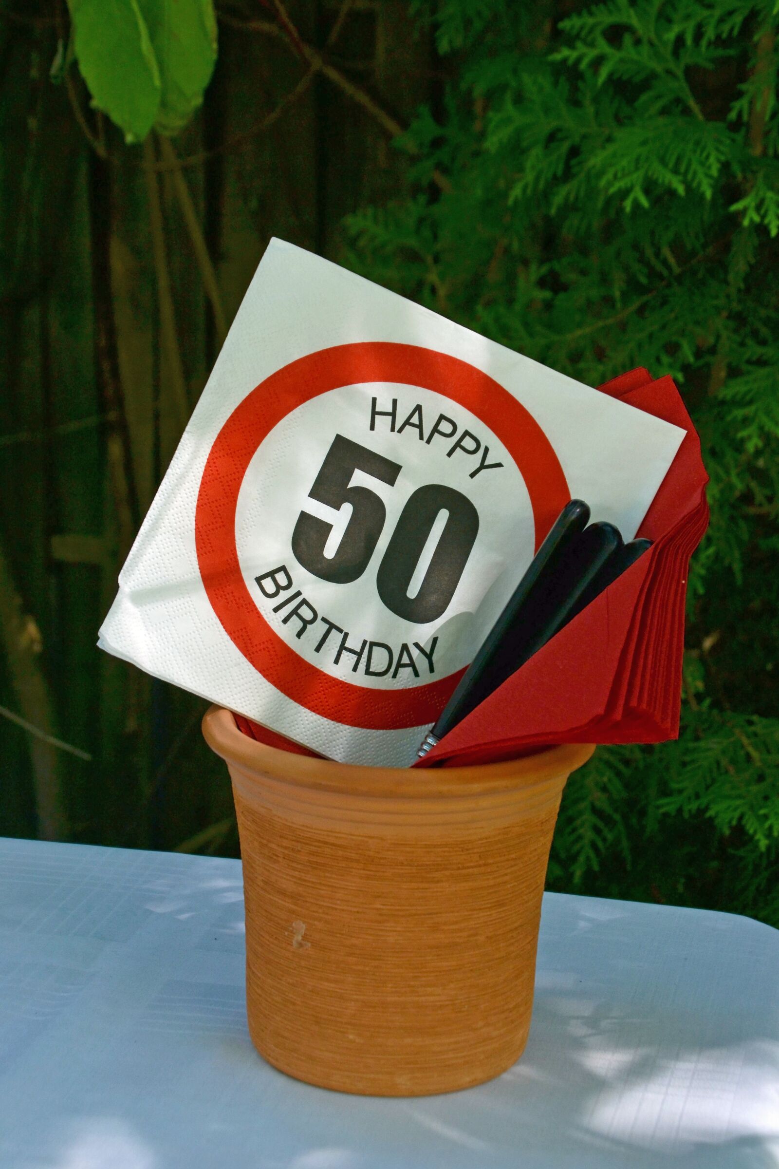 Nikon D3100 sample photo. Fiftieth birthday, 50th birthday, 50 photography