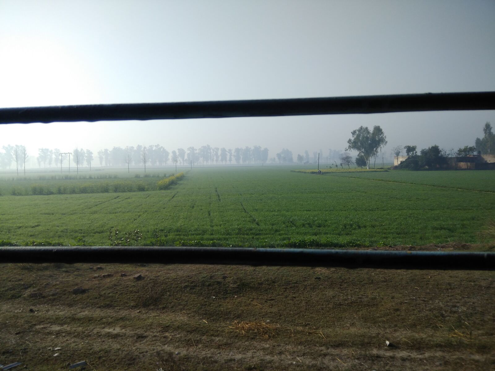 Xiaomi Redmi Note 4 sample photo. Voew, field, punjab photography