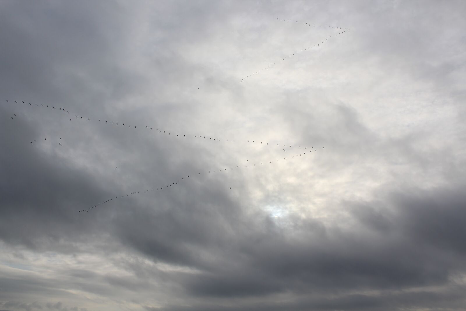 Canon EOS 1300D (EOS Rebel T6 / EOS Kiss X80) sample photo. Sky, cloud, clouds photography