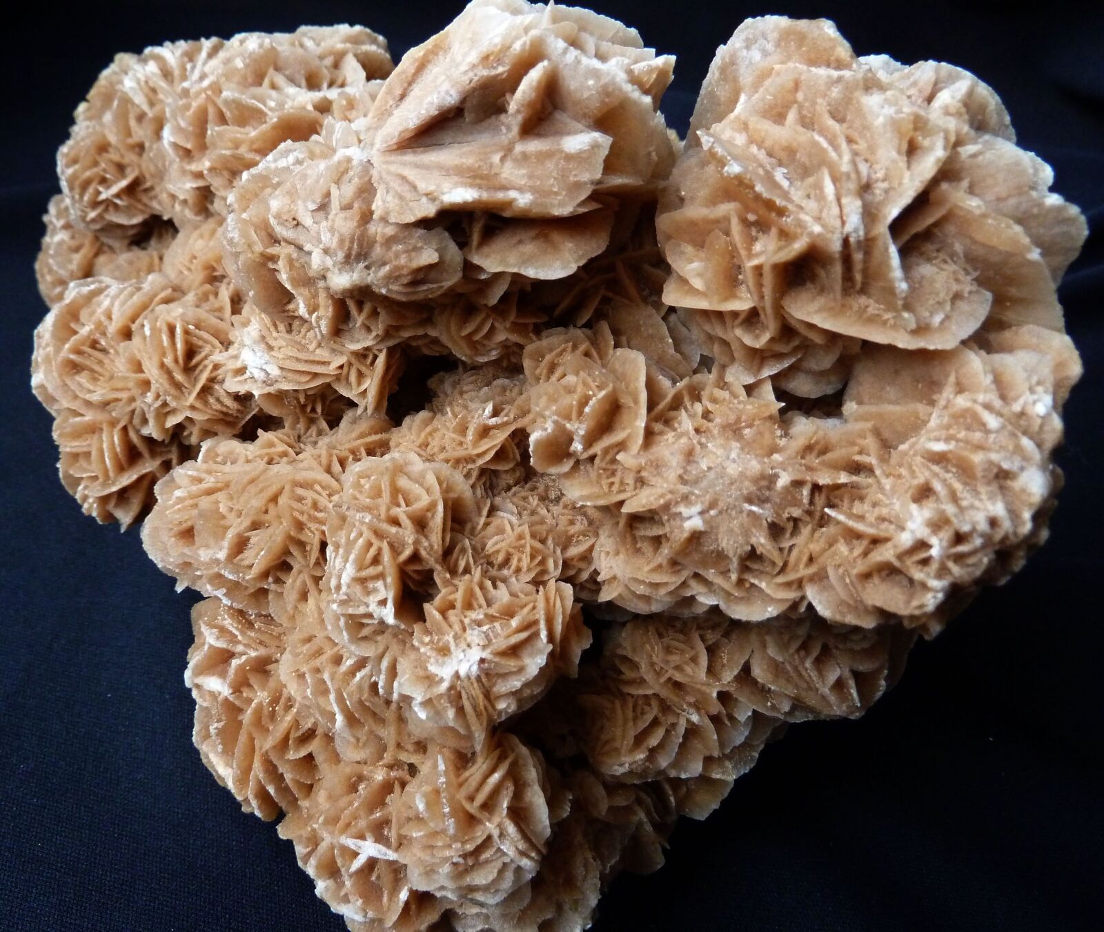 Panasonic Lumix DMC-ZS7 (Lumix DMC-TZ10) sample photo. Sand rose, desert rose photography
