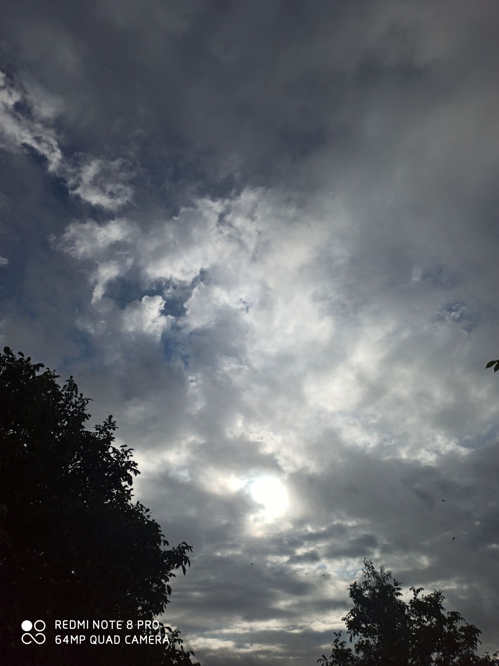 Xiaomi Redmi Note 8 Pro sample photo. Nature, beauty, relax photography