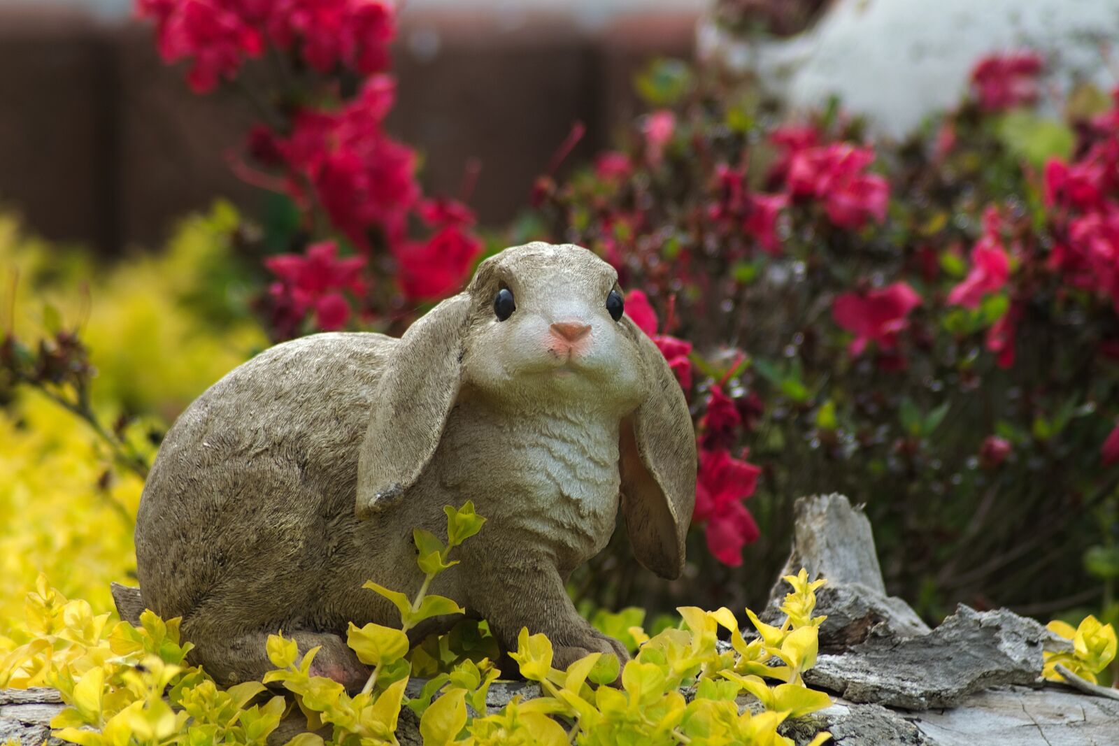Nikon D3300 sample photo. Figure, hare, decoration photography