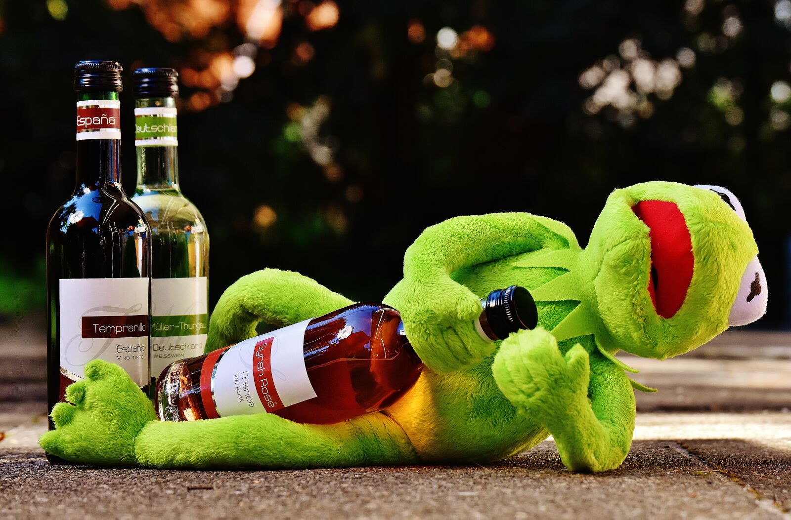 Nikon D7200 sample photo. Kermit, frog, wine photography