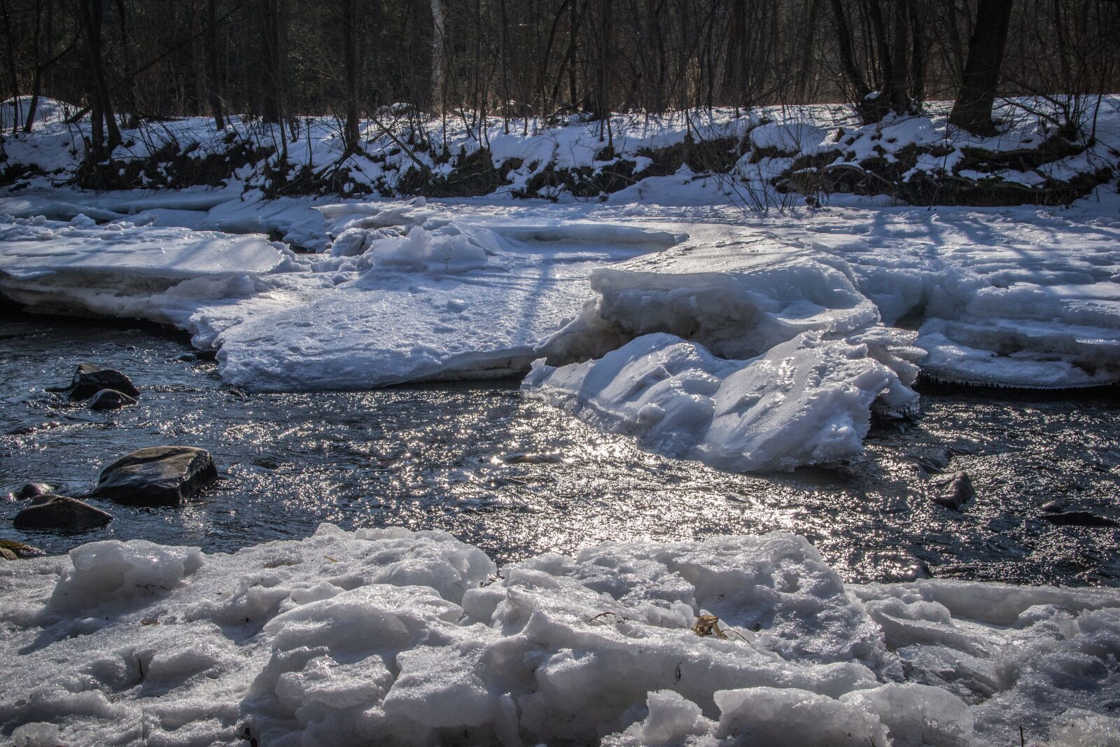 Nikon D3100 sample photo. Ice floes, river, river photography