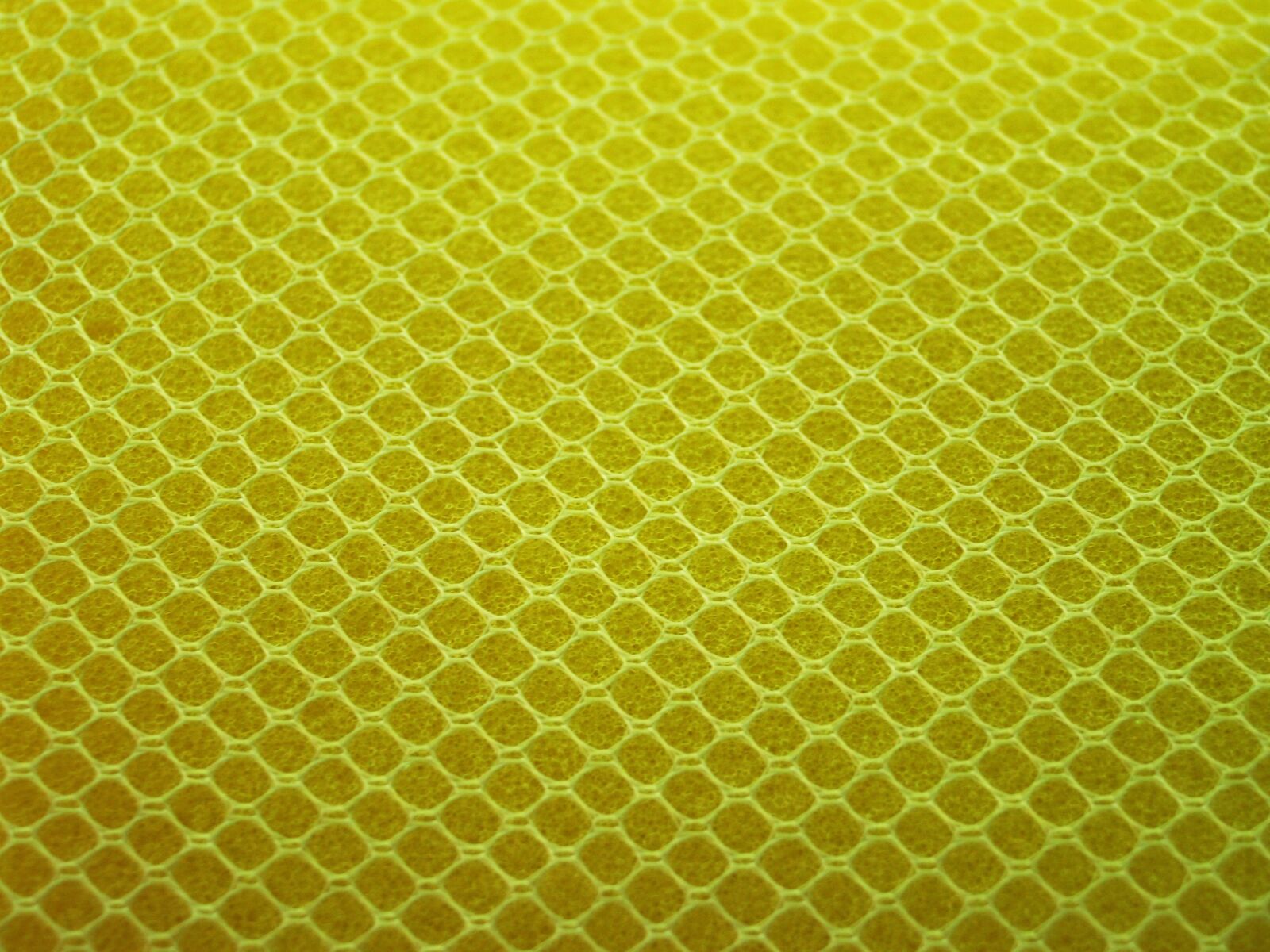 Olympus E-300 (EVOLT E-300) sample photo. Sponge, yellow, close photography
