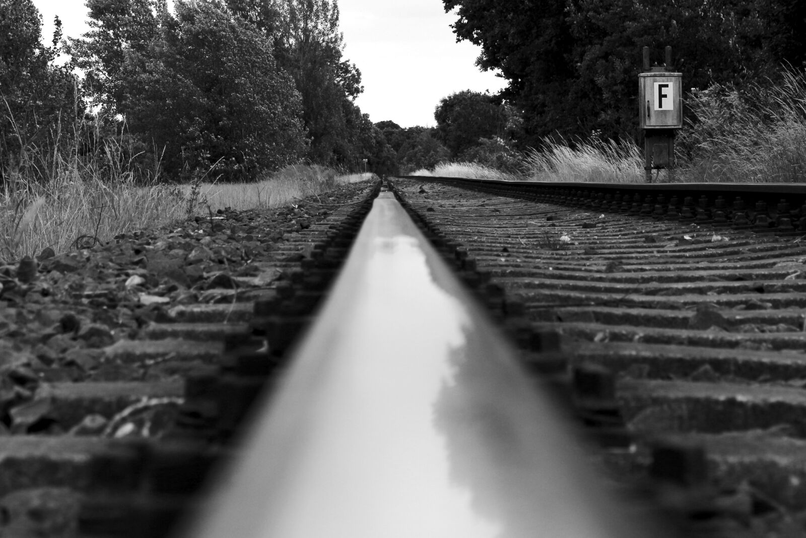 Canon EOS 700D (EOS Rebel T5i / EOS Kiss X7i) sample photo. Road, nature, train photography