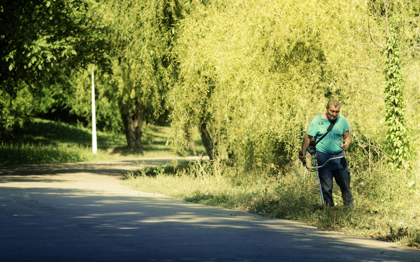 Nikon D5300 sample photo. Man, person, worker photography