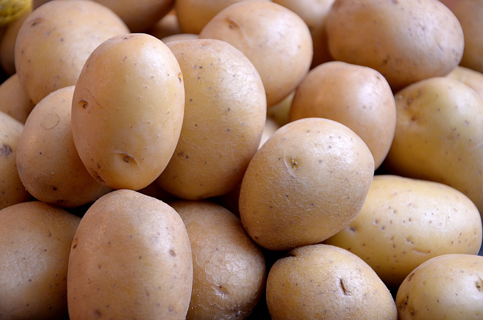 Nikon D5100 sample photo. Potatoes, vegetables, power photography