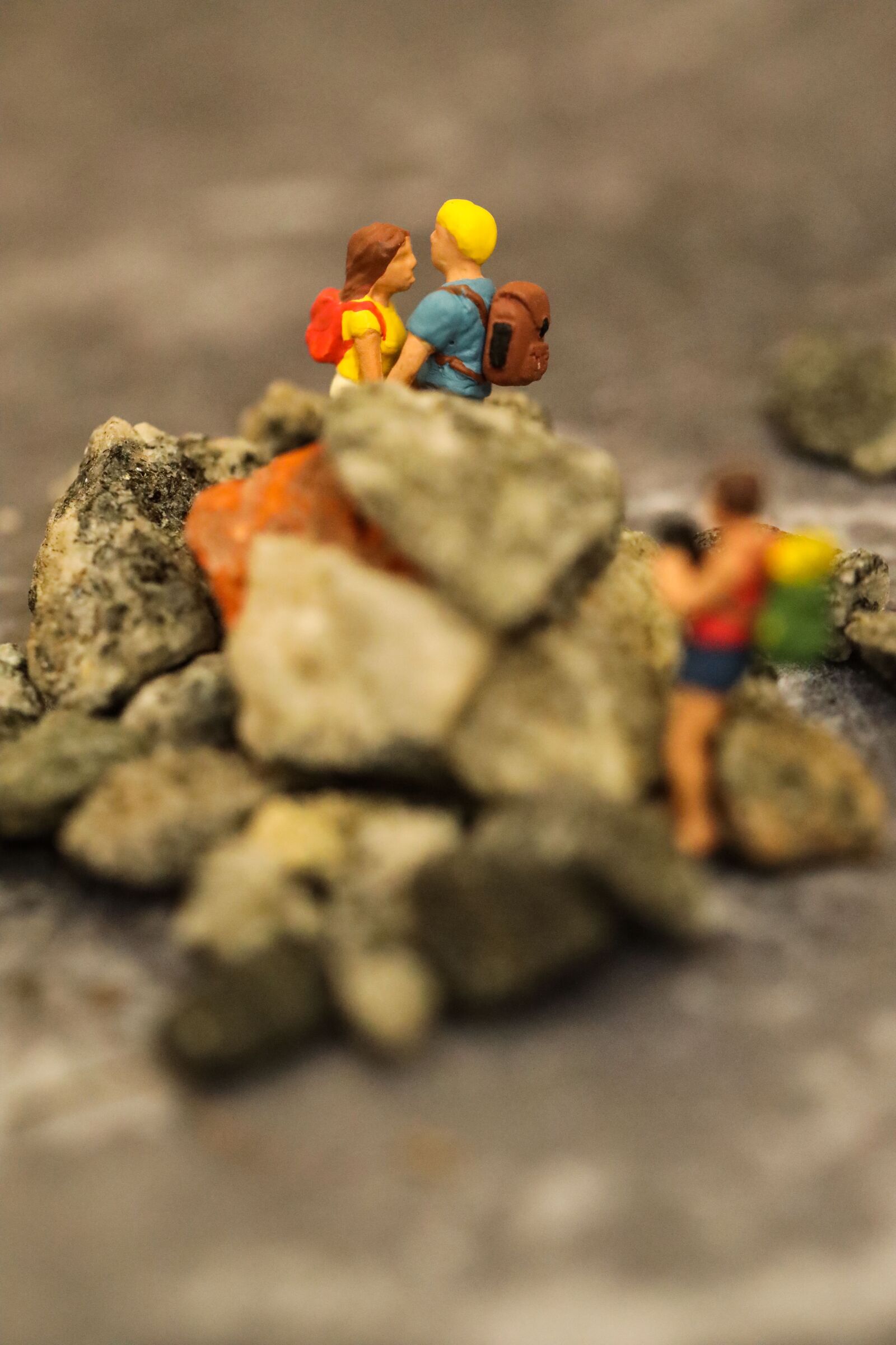 Canon EOS R sample photo. Miniature, representation, small photography