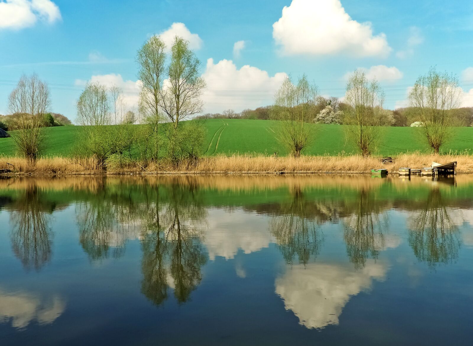 Olympus OM-D E-M10 sample photo. Landscape, meadowlands, trees photography