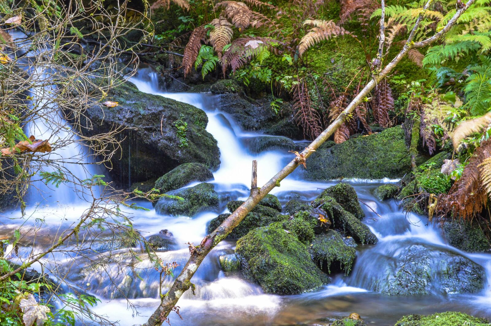 Nikon D3200 sample photo. Water, bach, austria photography