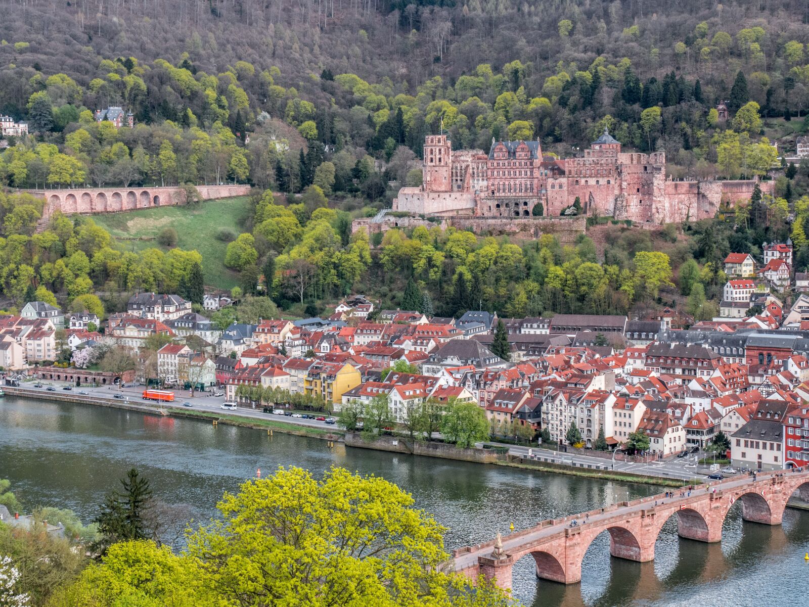 Panasonic DMC-G81 sample photo. Heidelberg, heidelberger schloss, historical photography