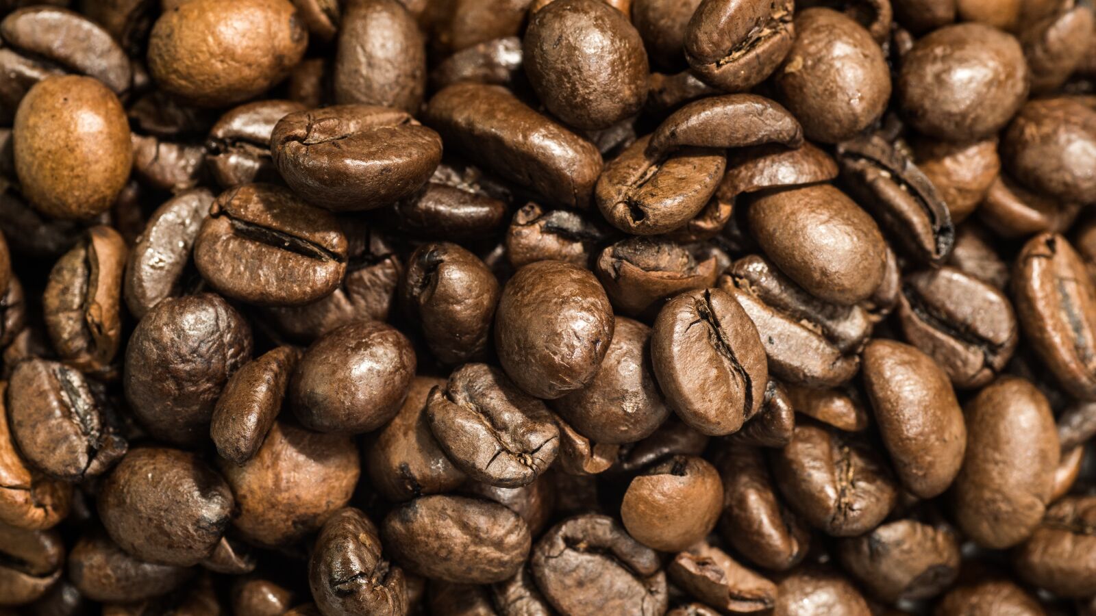 Sony ILCA-77M2 sample photo. Coffee, beans photography