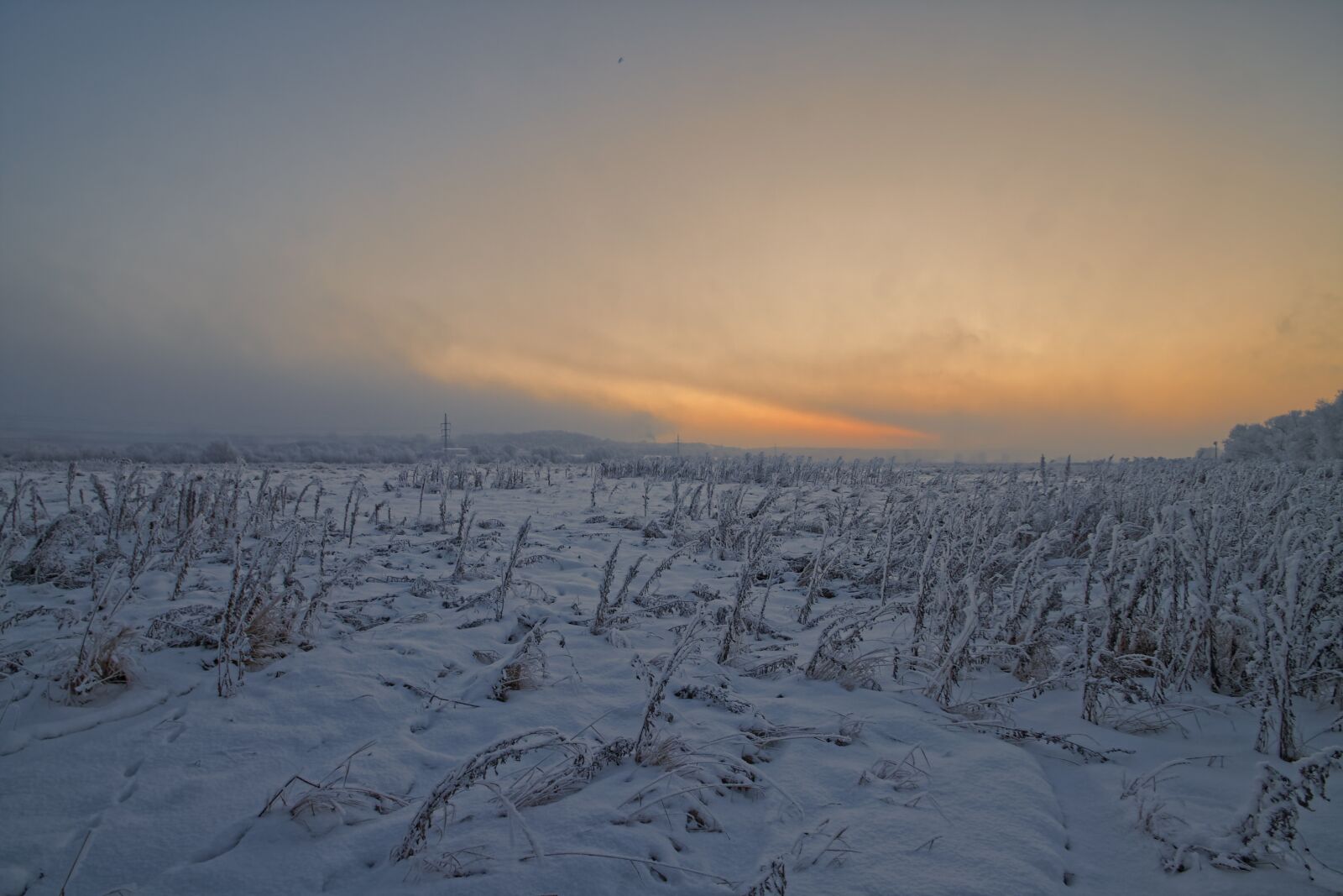 Canon EOS 500D (EOS Rebel T1i / EOS Kiss X3) sample photo. Winter, dawn, snow photography
