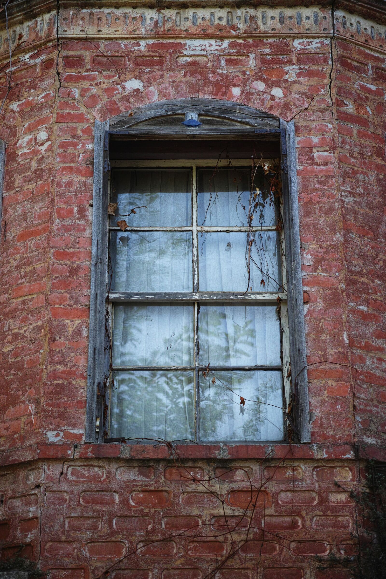 Sigma DP3 Merrill sample photo. Window, brick, old photography