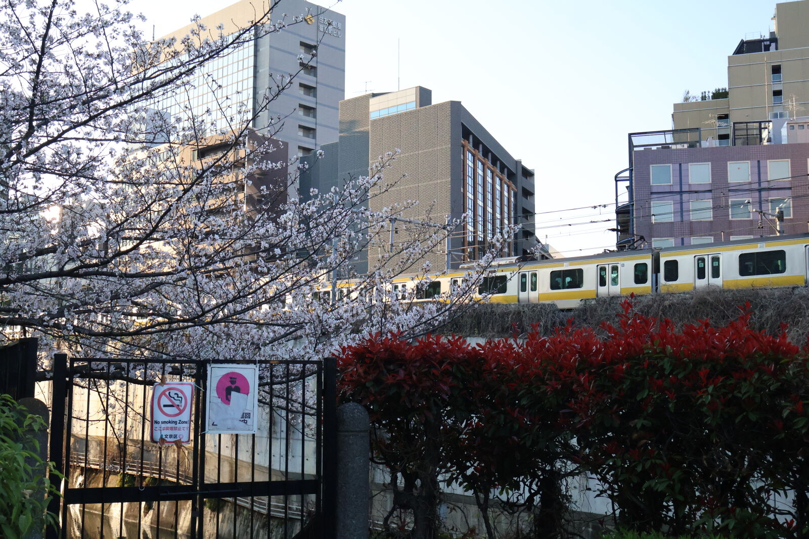 Canon EOS R50 sample photo