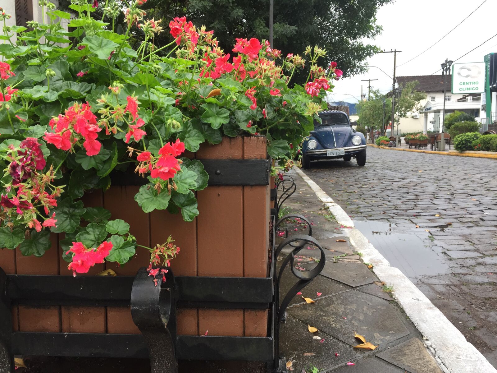 iPhone 6 back camera 4.15mm f/2.2 sample photo. Cold, landscape, rain, winter photography