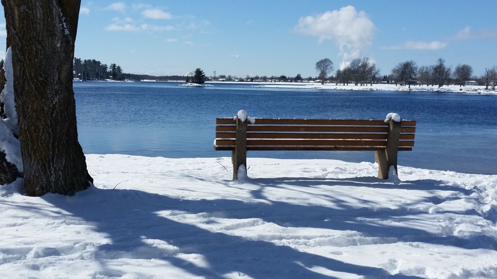 Samsung Galaxy S5 sample photo. Winter, bench, park photography