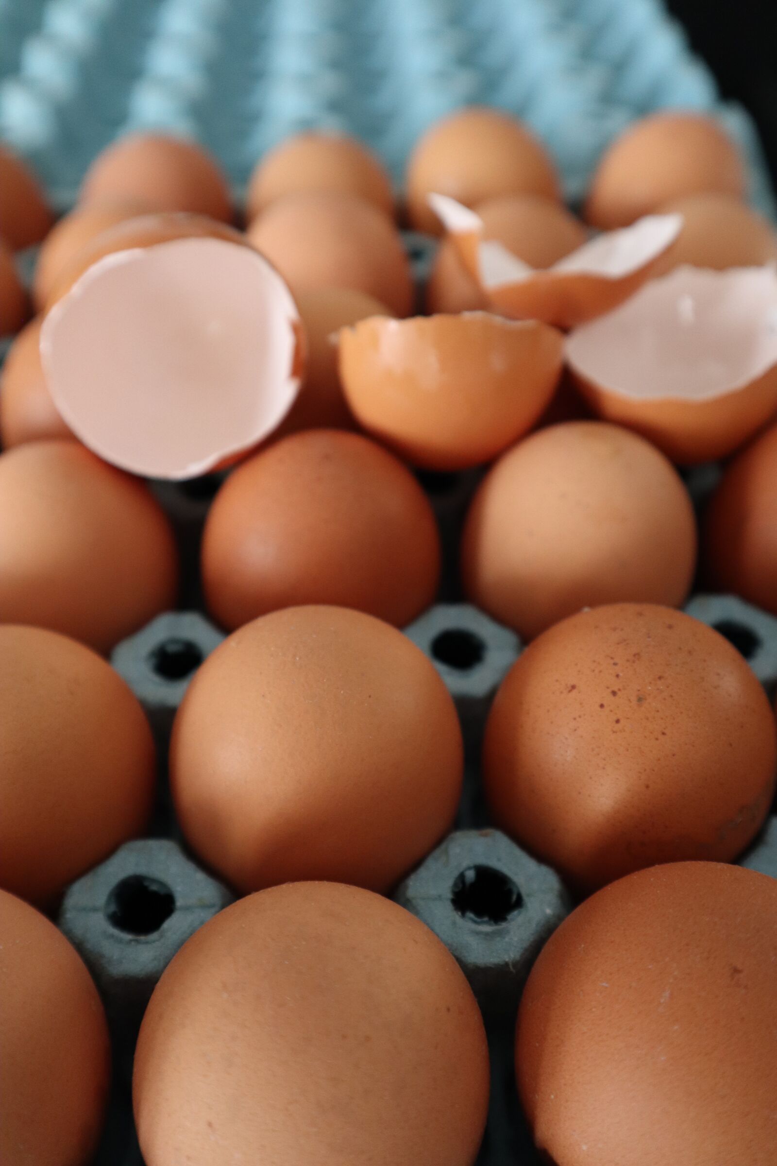 Canon EF-M 15-45mm F3.5-6.3 IS STM sample photo. Egg, egg cup, paperboard photography
