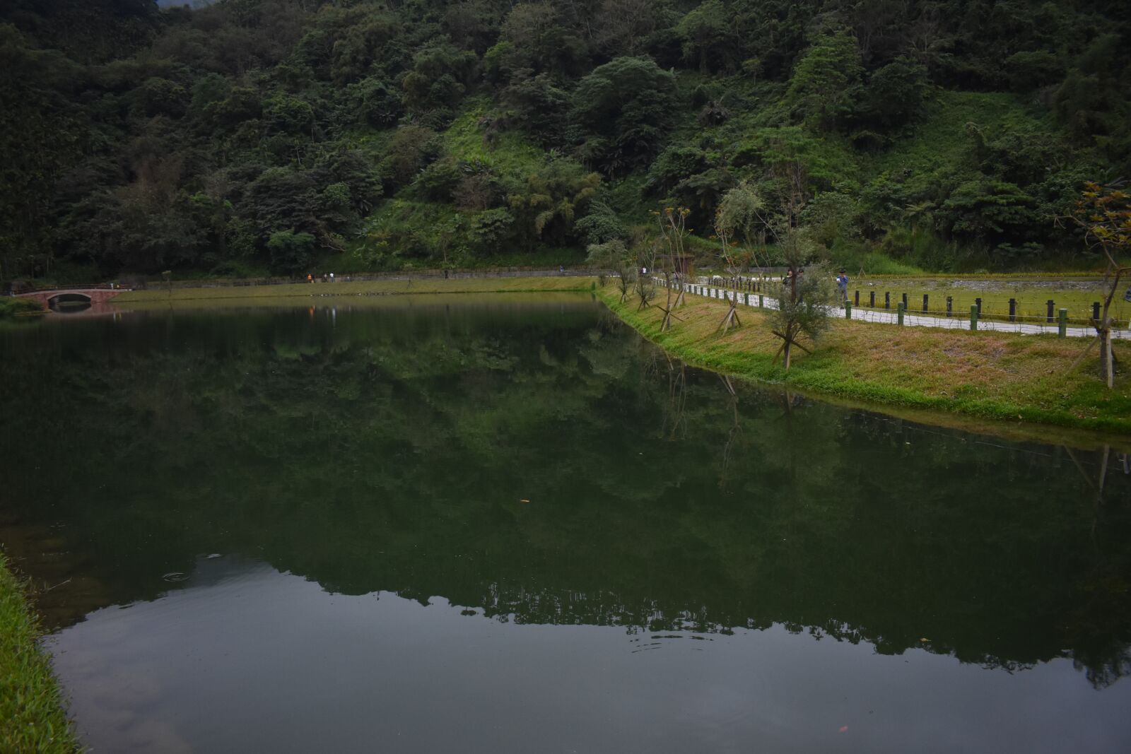 Nikon D3400 sample photo. Lake, mountains, nature photography