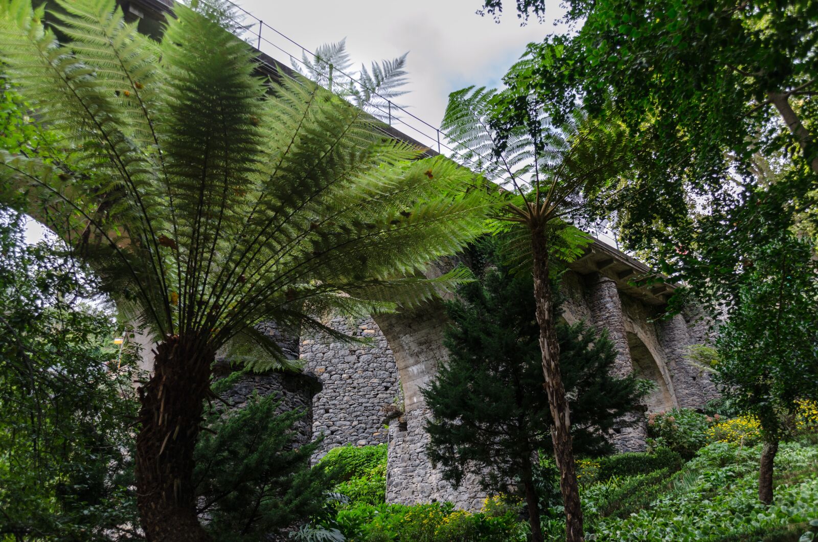 Nikon D5100 sample photo. Funchal, madeira, portugal photography