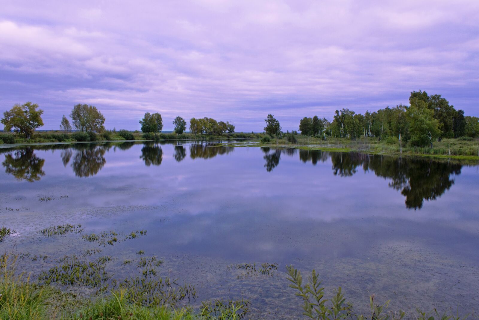 Canon EOS 600D (Rebel EOS T3i / EOS Kiss X5) sample photo. Lake, forest, autumn photography