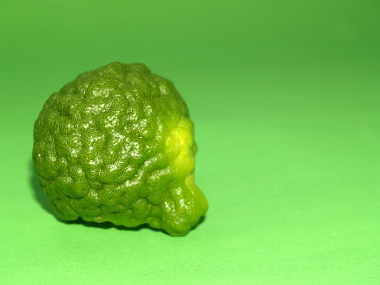 Olympus E-300 (EVOLT E-300) sample photo. Bergamot, fruit, leaf photography