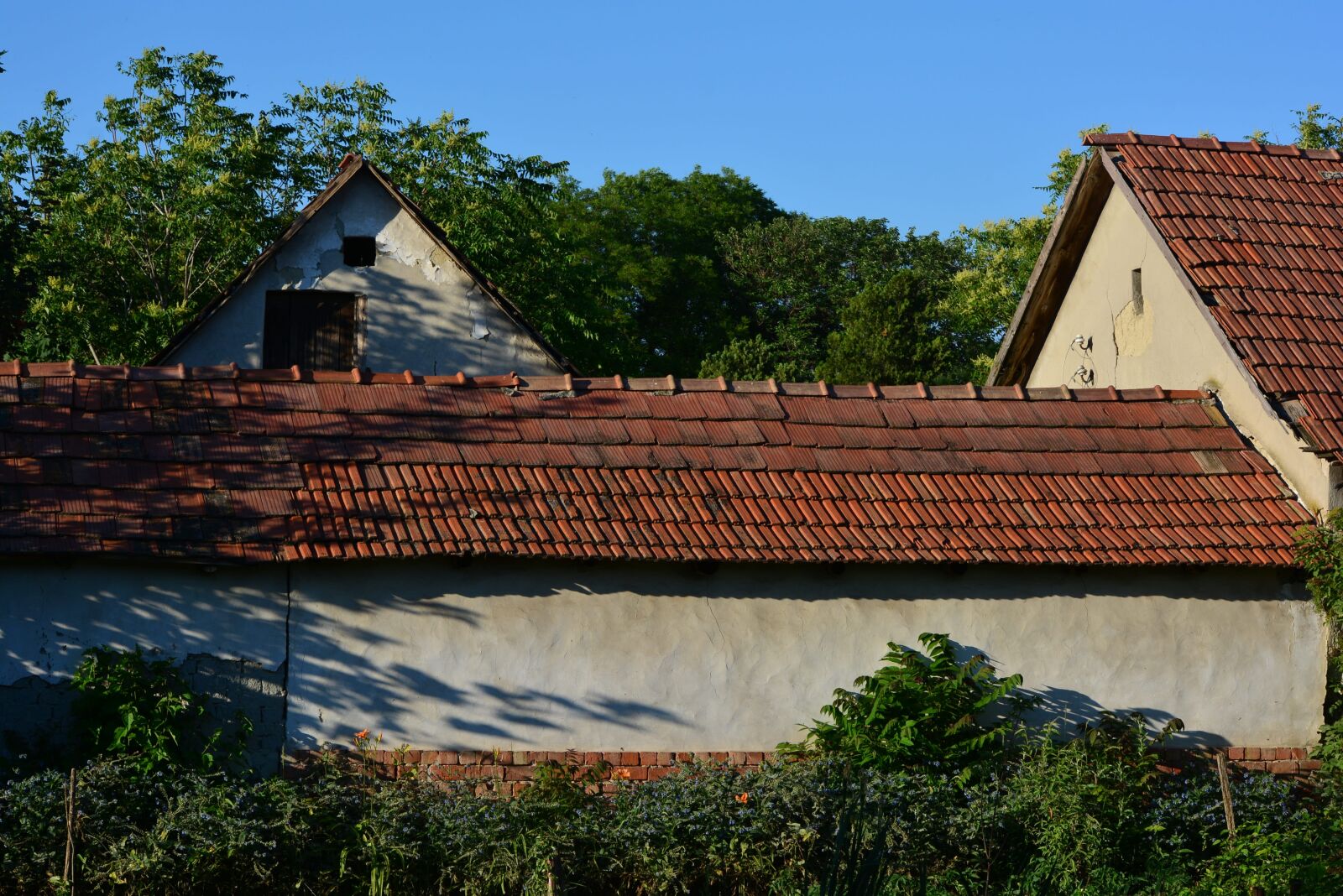 Nikon D5200 sample photo. Old, house, rustic photography
