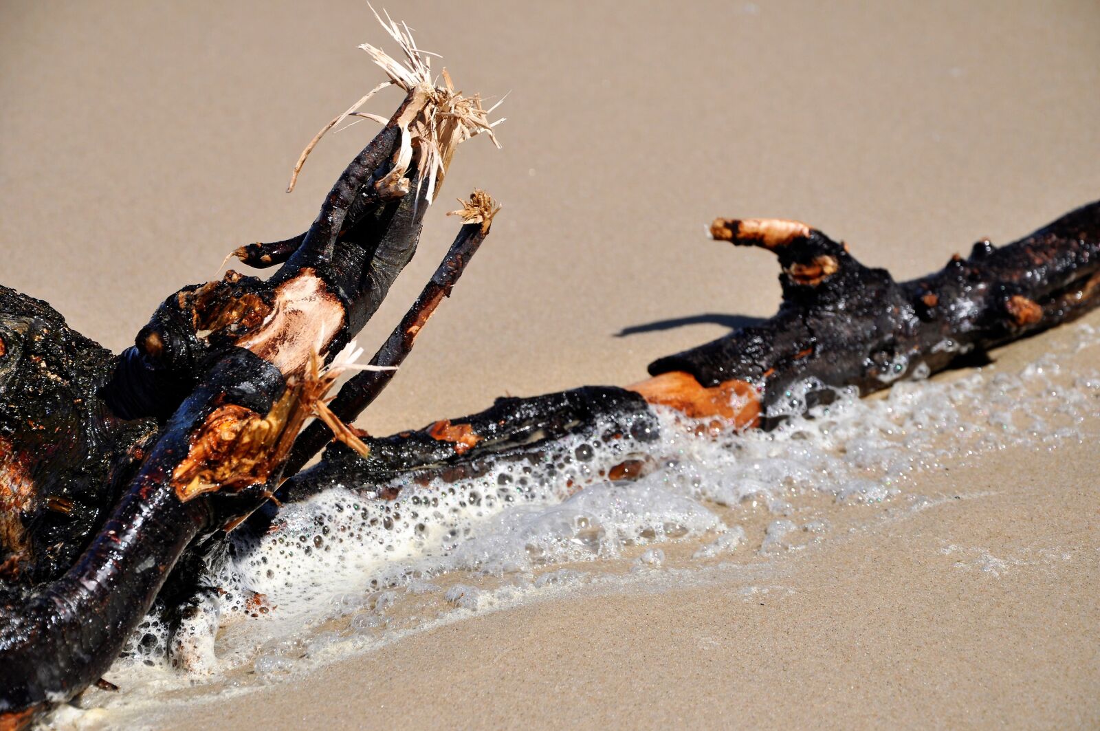 Nikon D90 sample photo. Beach, sand, piana photography