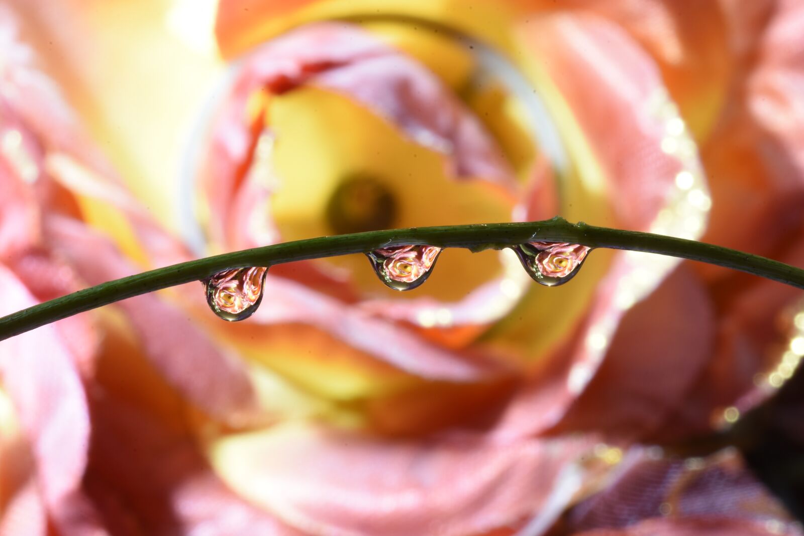 Nikon D7200 sample photo. Water, water droplets, droplets photography
