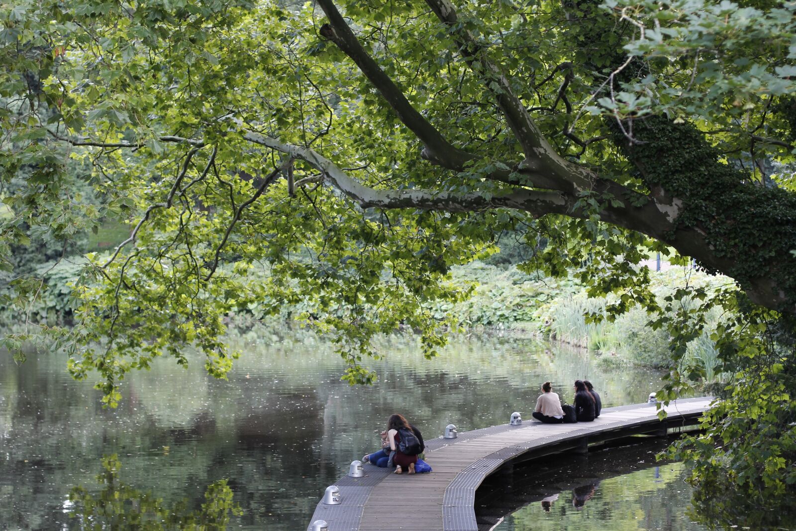 Canon EOS 60D + Canon EF 50mm F1.4 USM sample photo. Web, idyll, relax photography