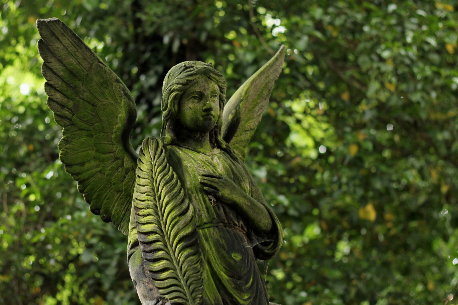 Canon EOS 1100D (EOS Rebel T3 / EOS Kiss X50) + Canon EF 50mm F1.8 II sample photo. Angel, statue, stone photography