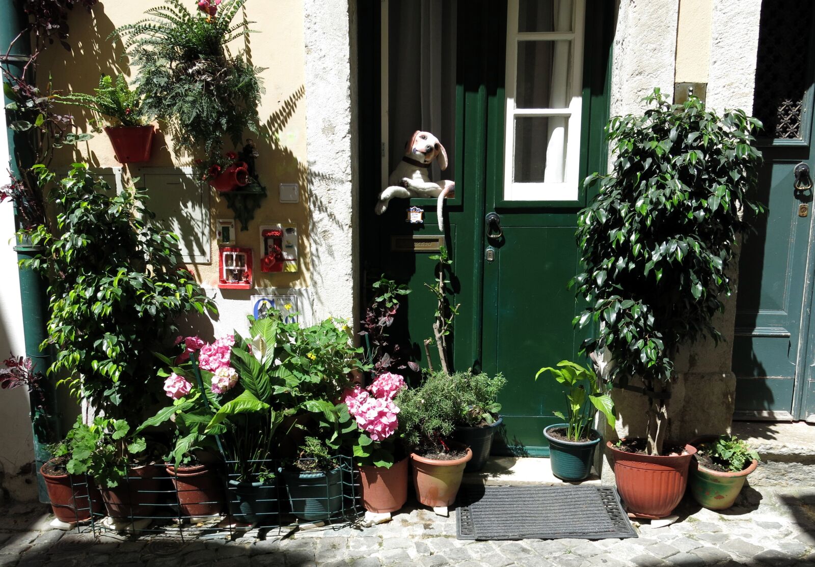 Canon PowerShot G15 sample photo. Plant, house, lisbon photography