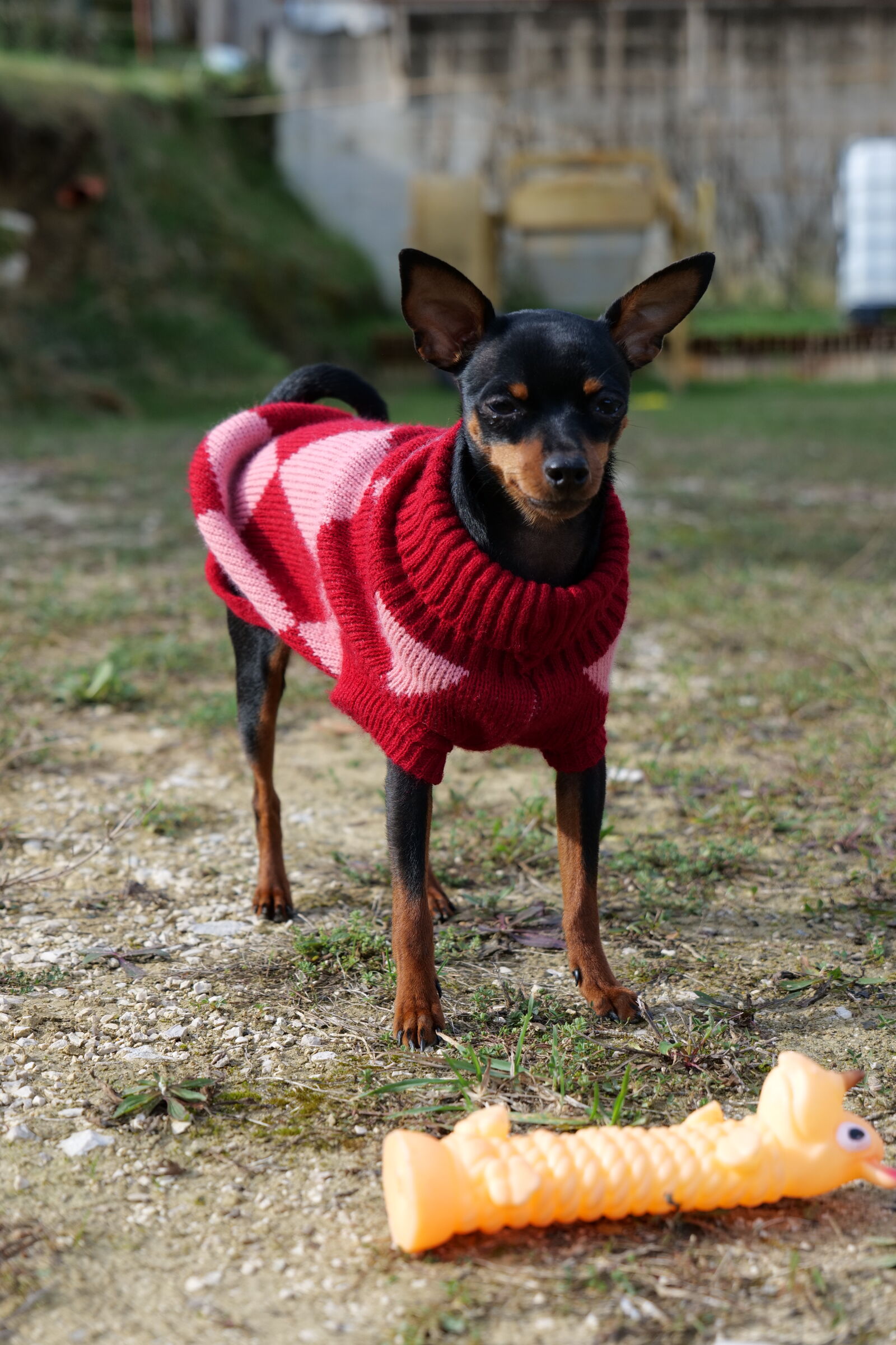 Panasonic DC-S5D sample photo