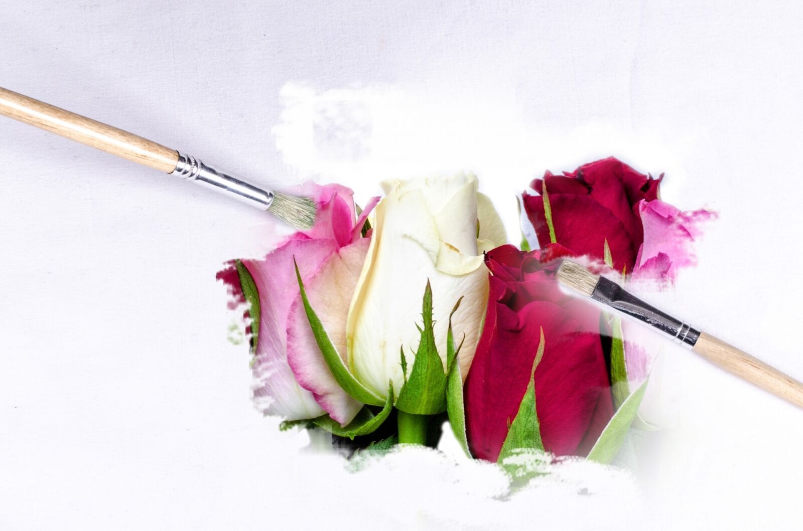Nikon D5100 sample photo. Abstract, brush, canvas, card photography