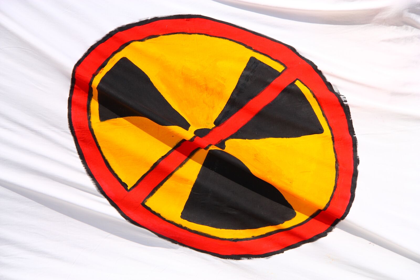 Canon EOS 450D (EOS Rebel XSi / EOS Kiss X2) sample photo. Radiation, flag, radioactive photography