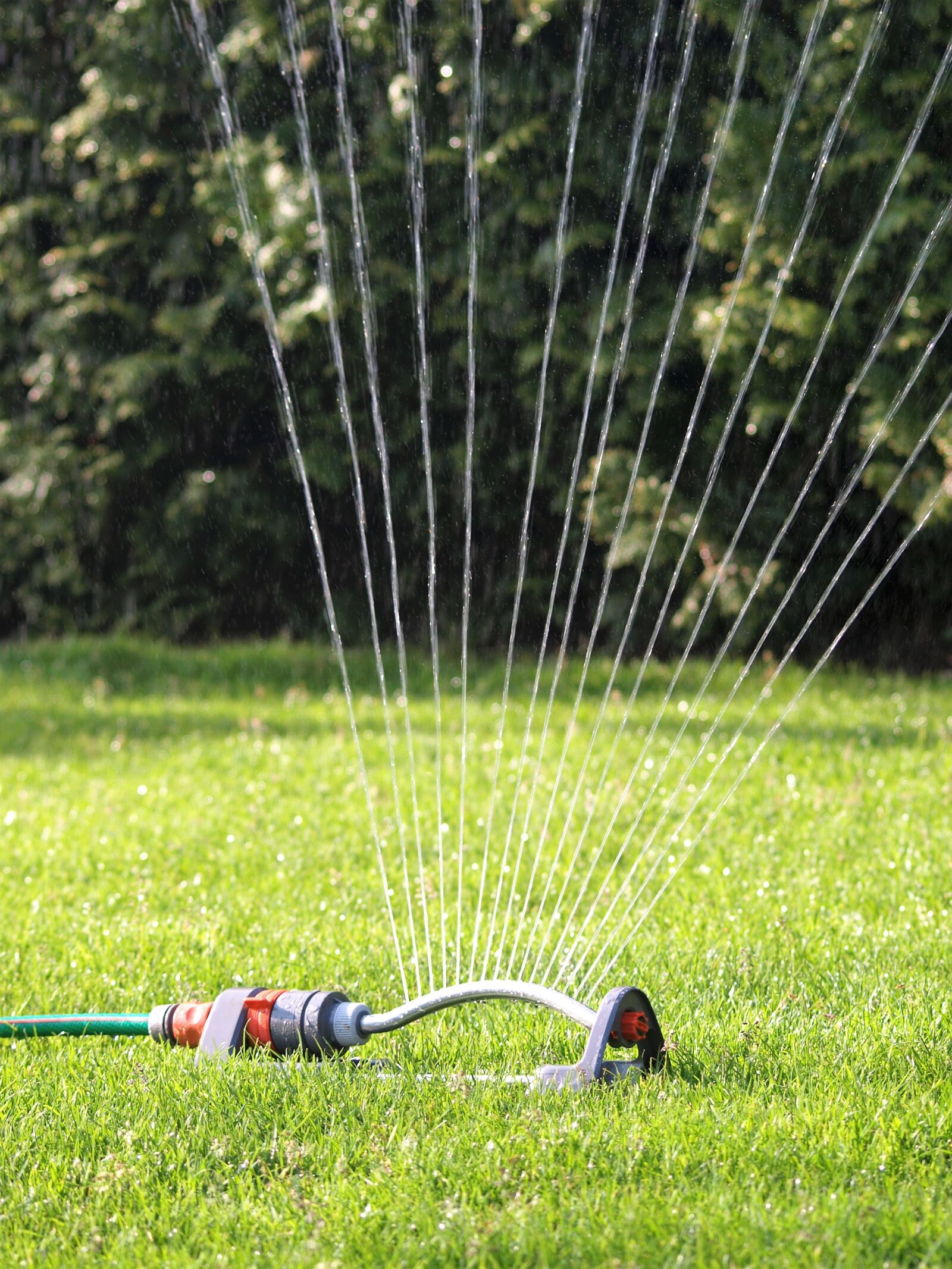 Olympus E-510 (EVOLT E-510) sample photo. Sprinkler, water, hose connection photography