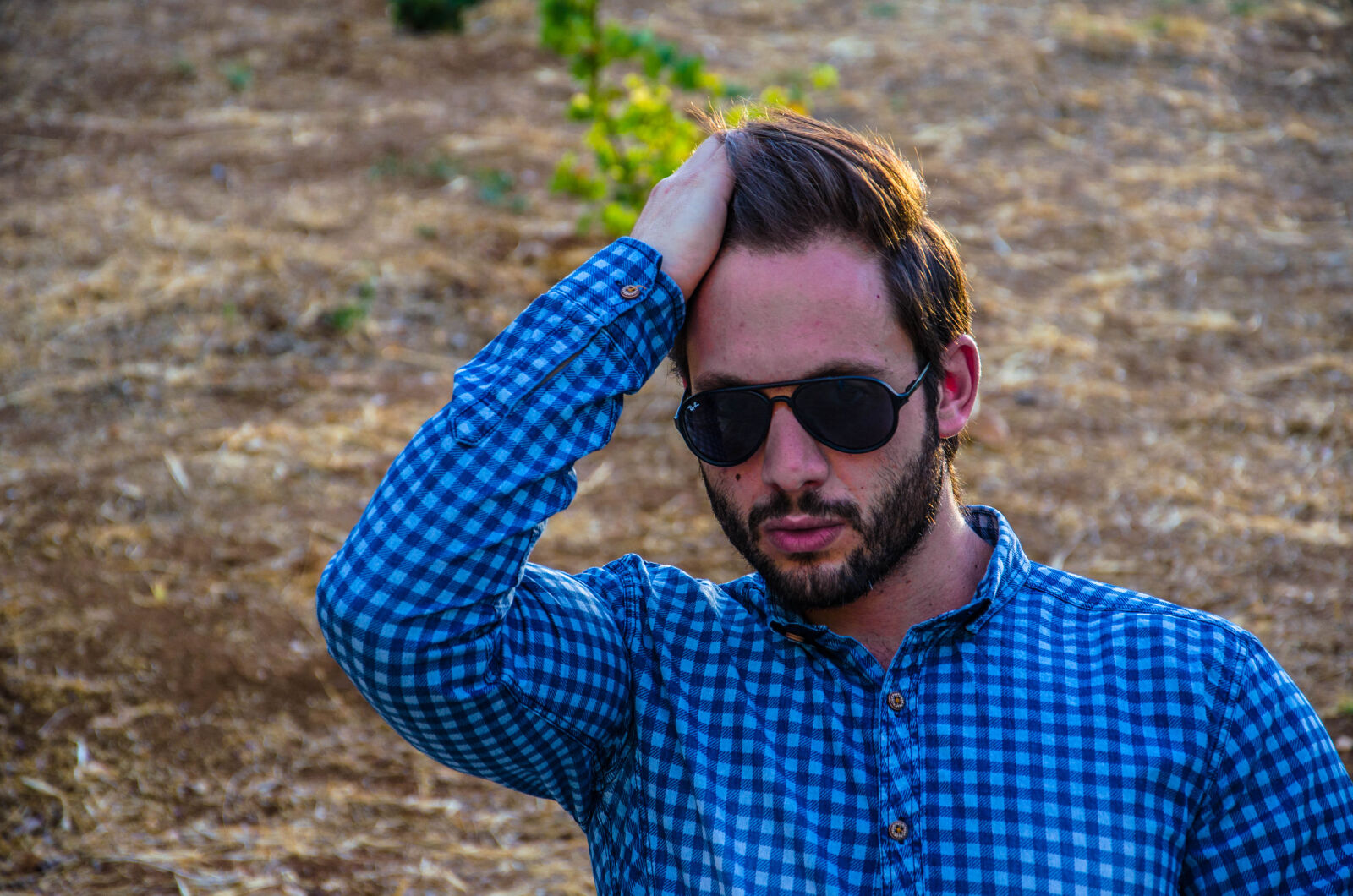 Nikon D5100 sample photo