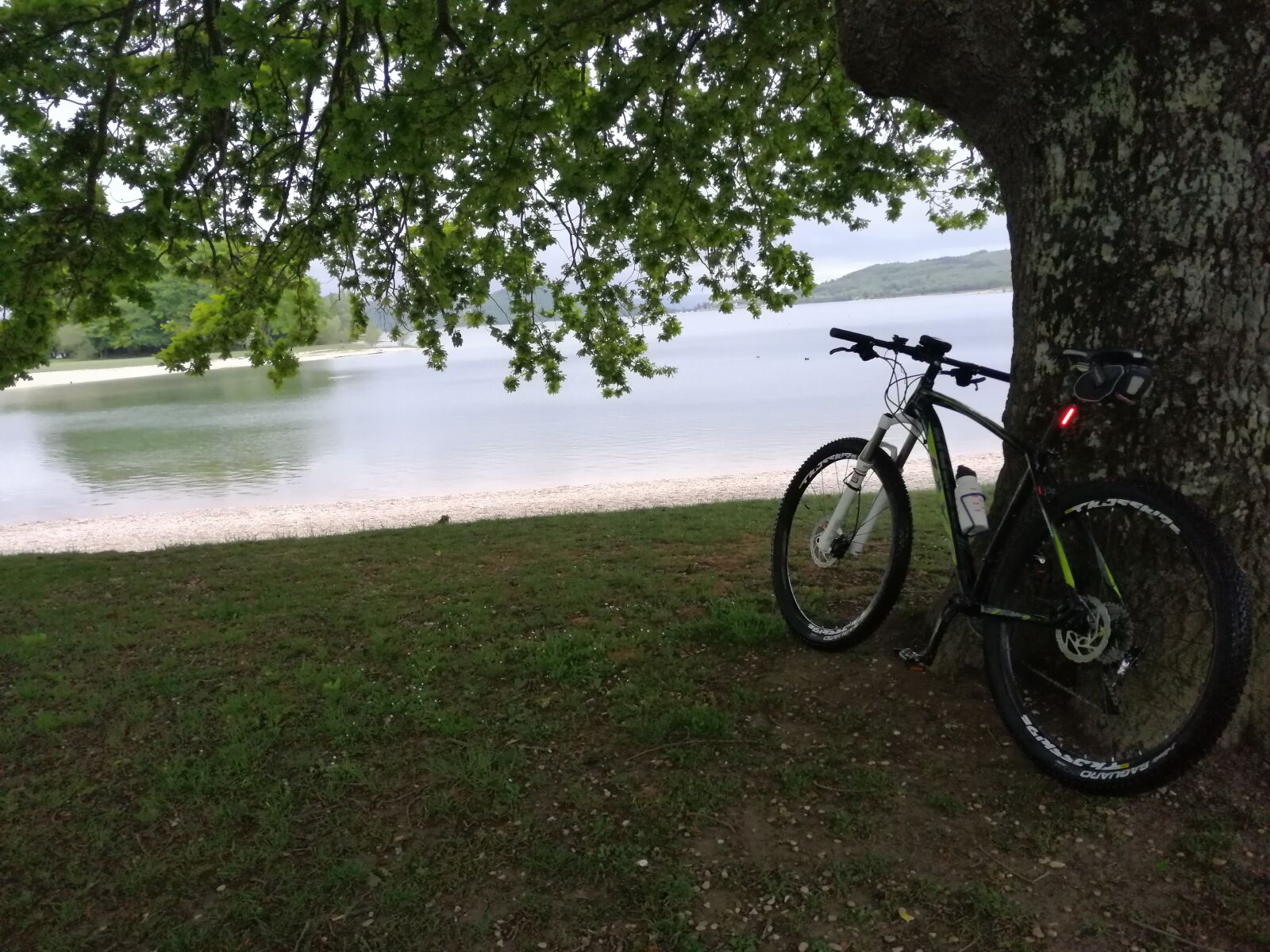 HUAWEI SNE-LX1 sample photo. Bicycle, marsh, water photography