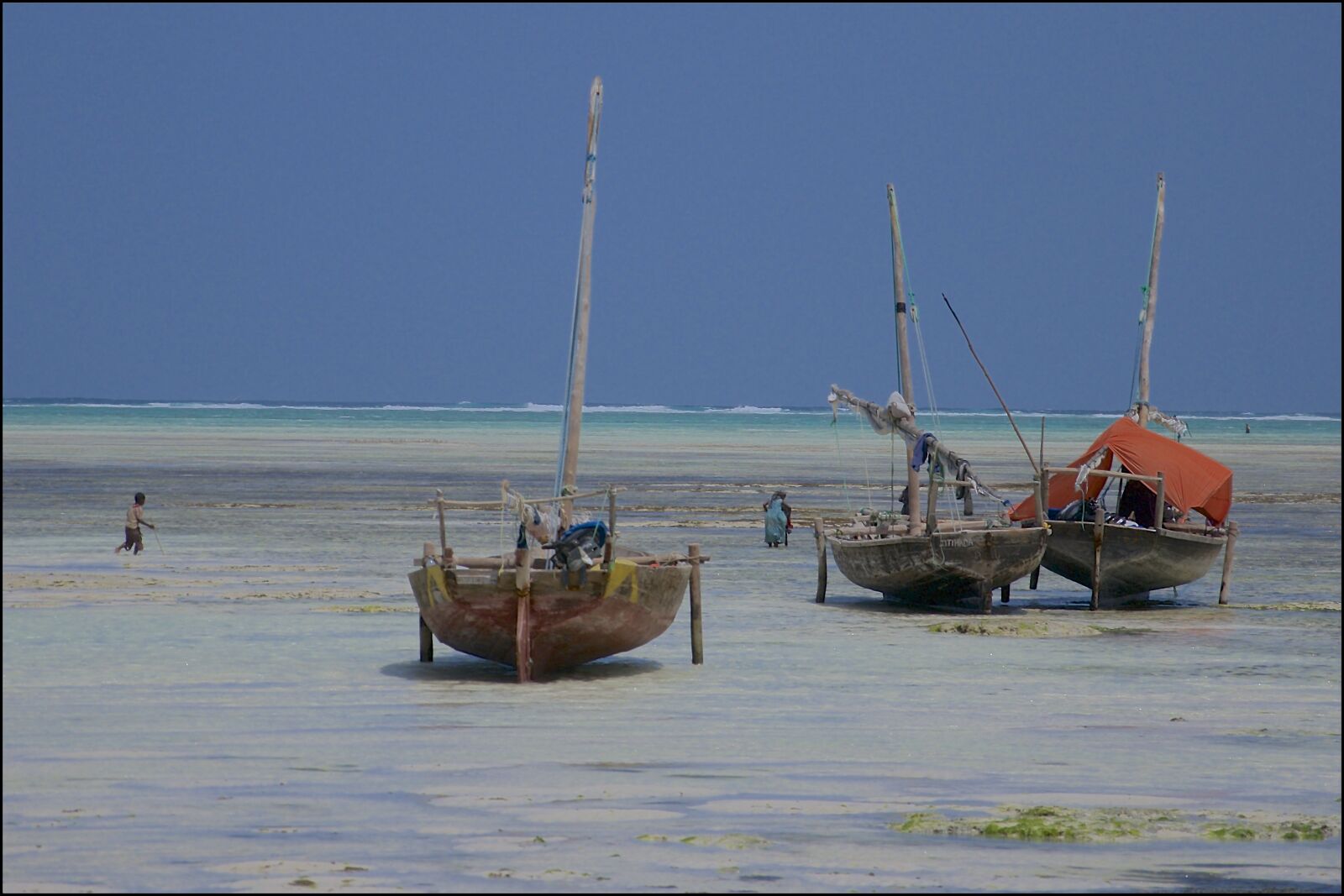 Nikon D300 sample photo. Zanzibar, indian ocean, tanzania photography