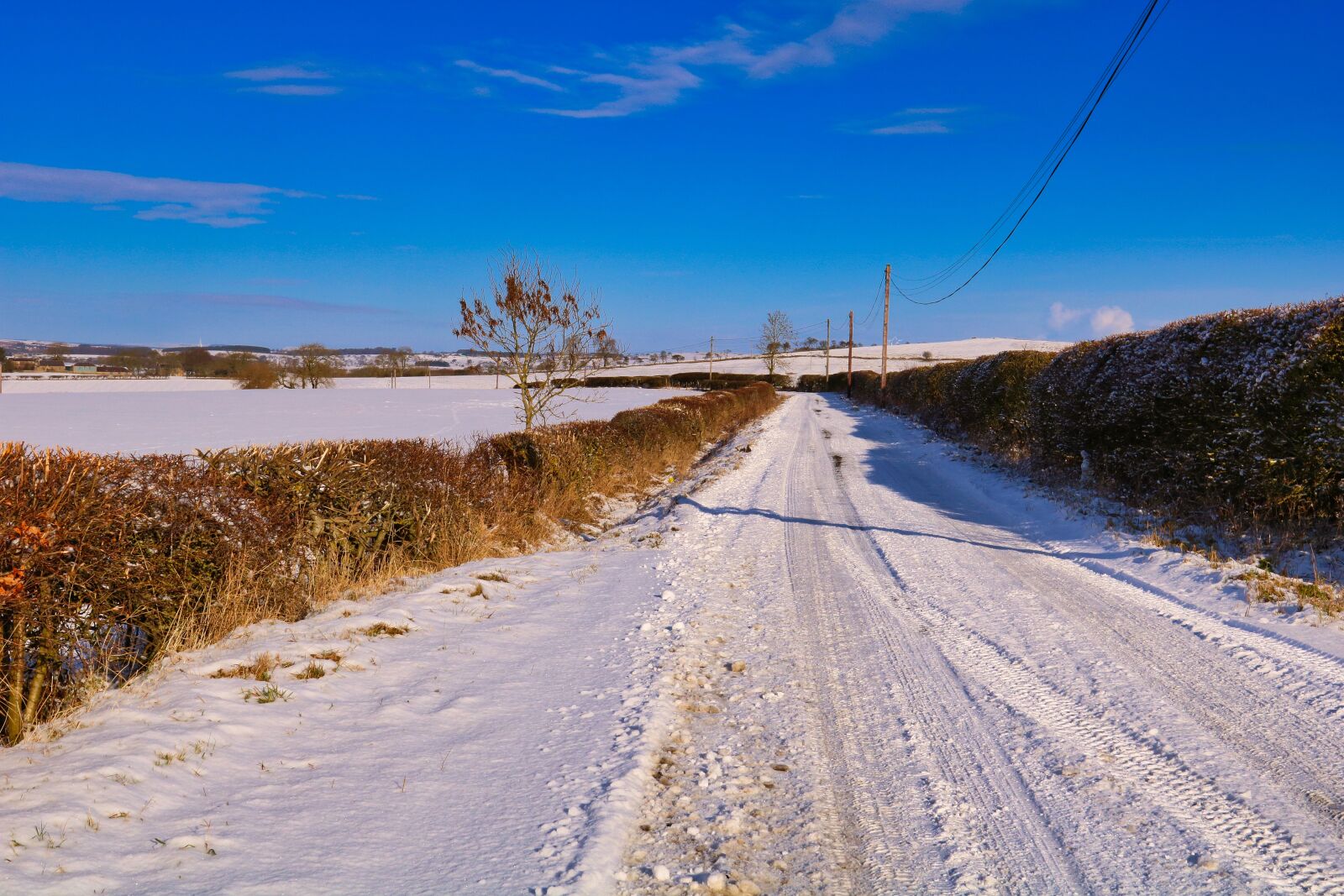 Canon EOS 750D (EOS Rebel T6i / EOS Kiss X8i) + Canon EF 17-40mm F4L USM sample photo. Snow, road, landscape photography