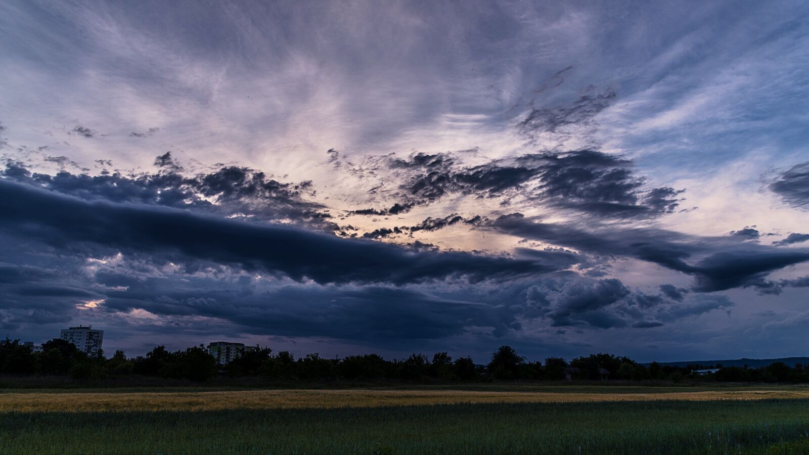 Nikon D850 sample photo. Field, nature, green photography