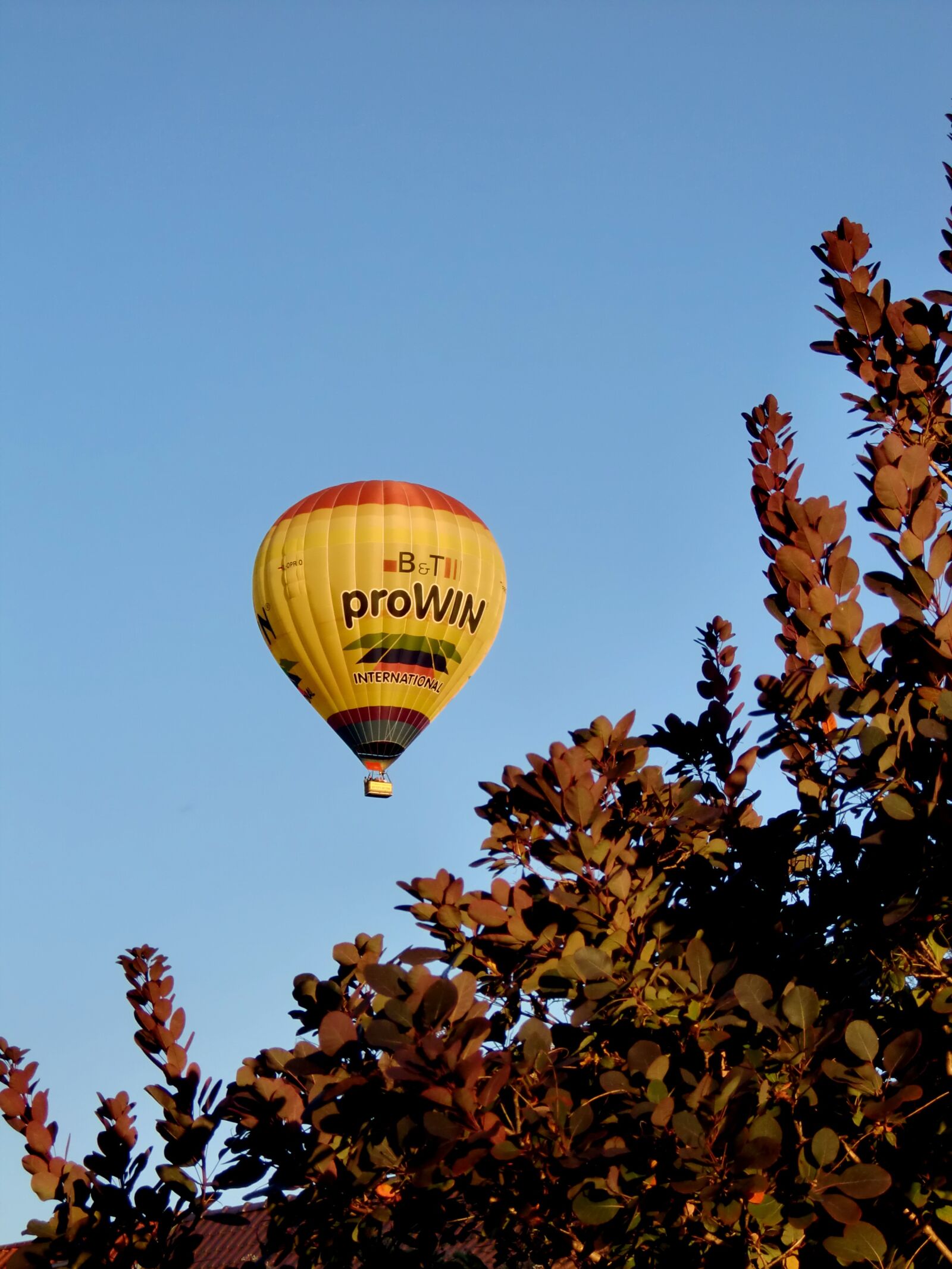 CASIO EX-Z450 sample photo. Hot air balloon, flying photography
