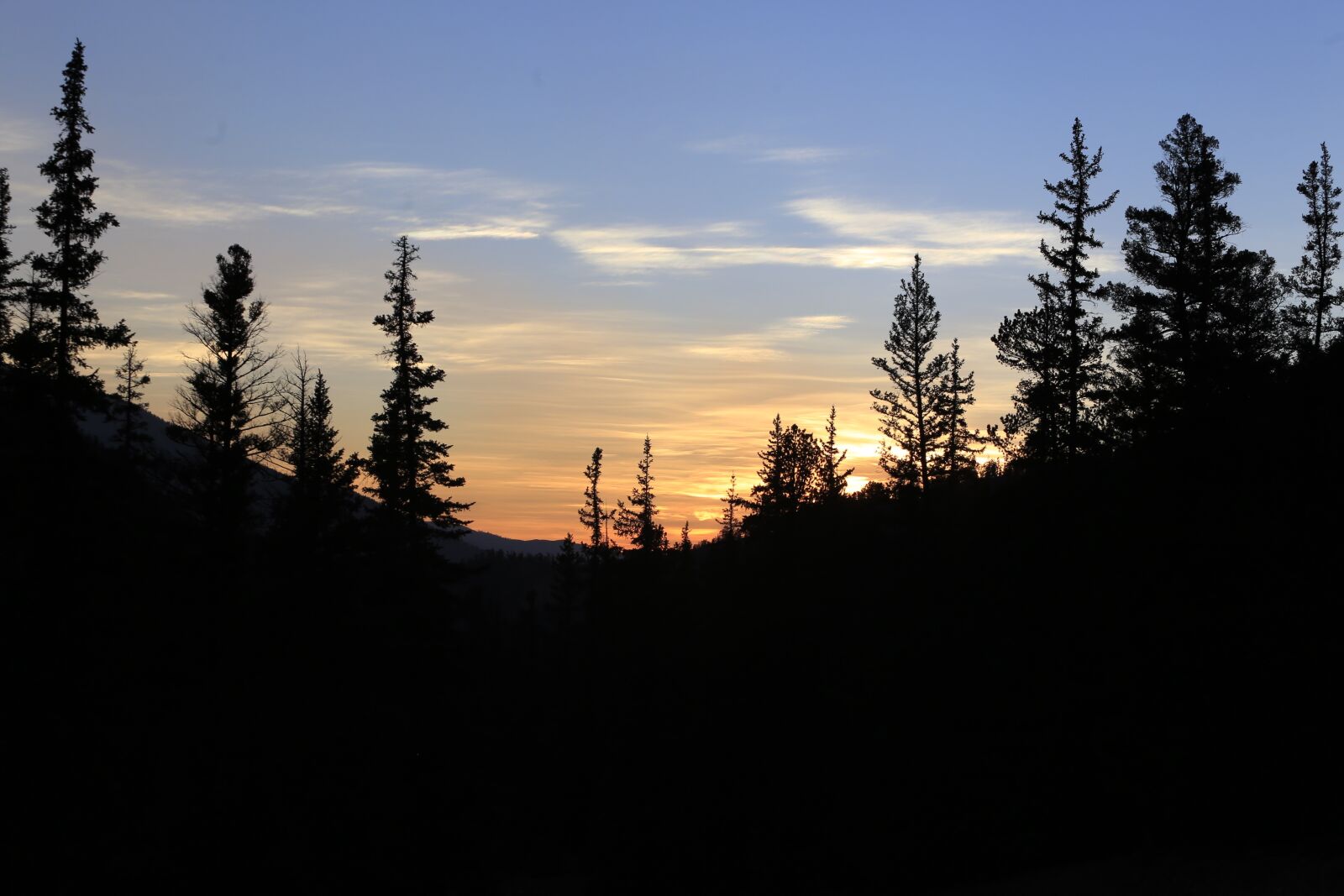 Canon EF 70-200mm F2.8L USM sample photo. Sunset, evergreens at sunset photography