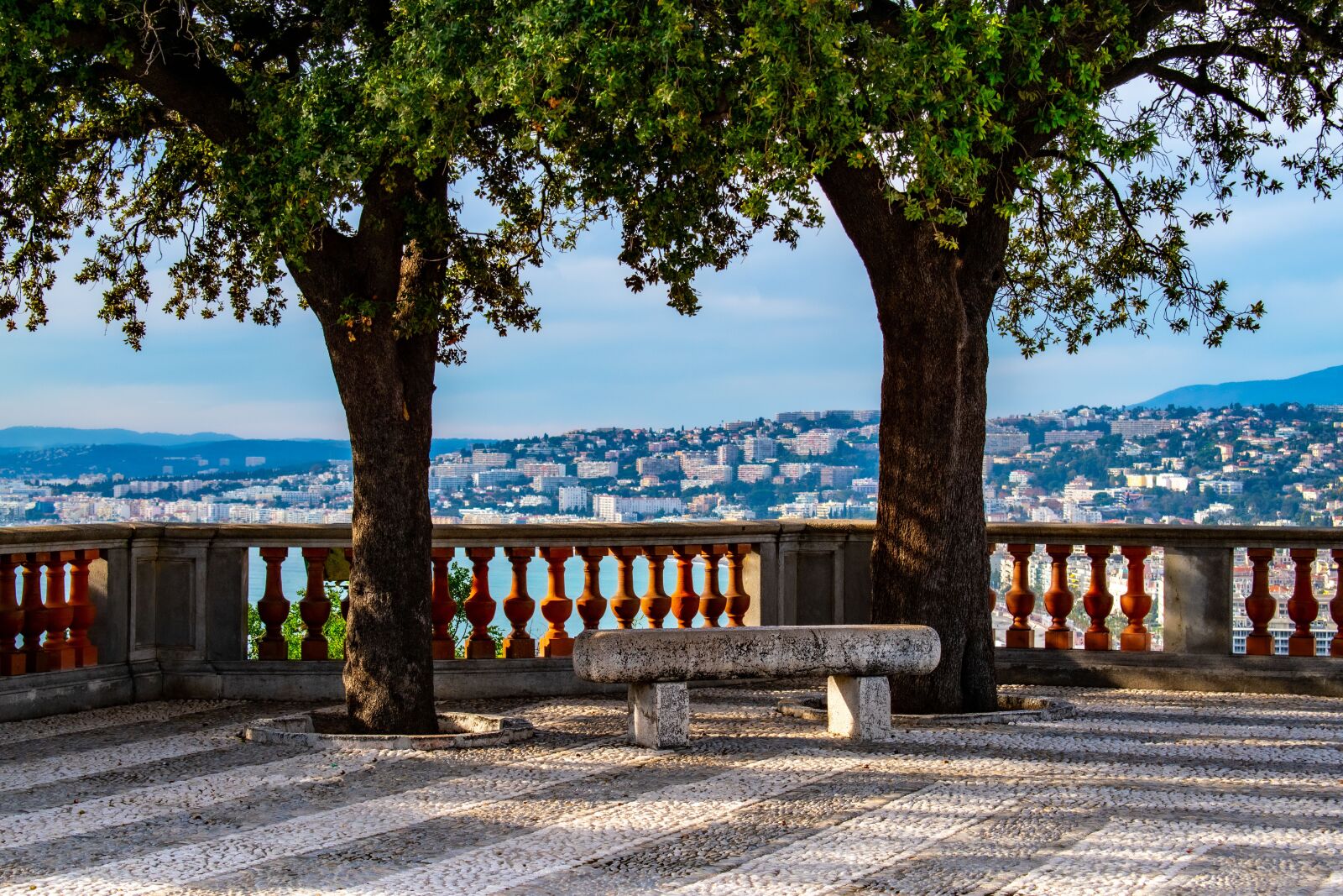 Nikon D5600 sample photo. Trees, bench, park photography