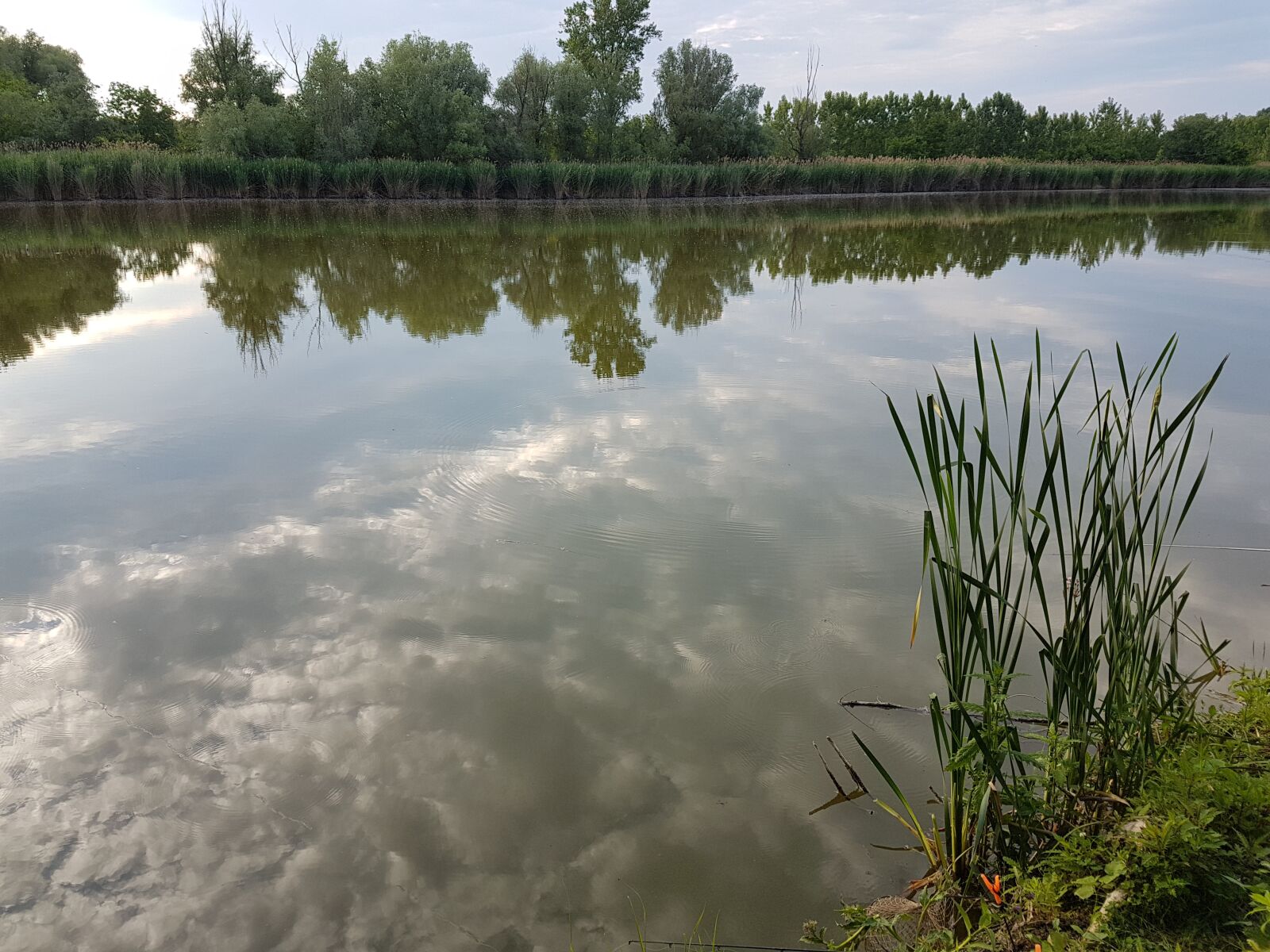 Samsung Galaxy S7 Edge sample photo. Waterfront, nature, wood photography