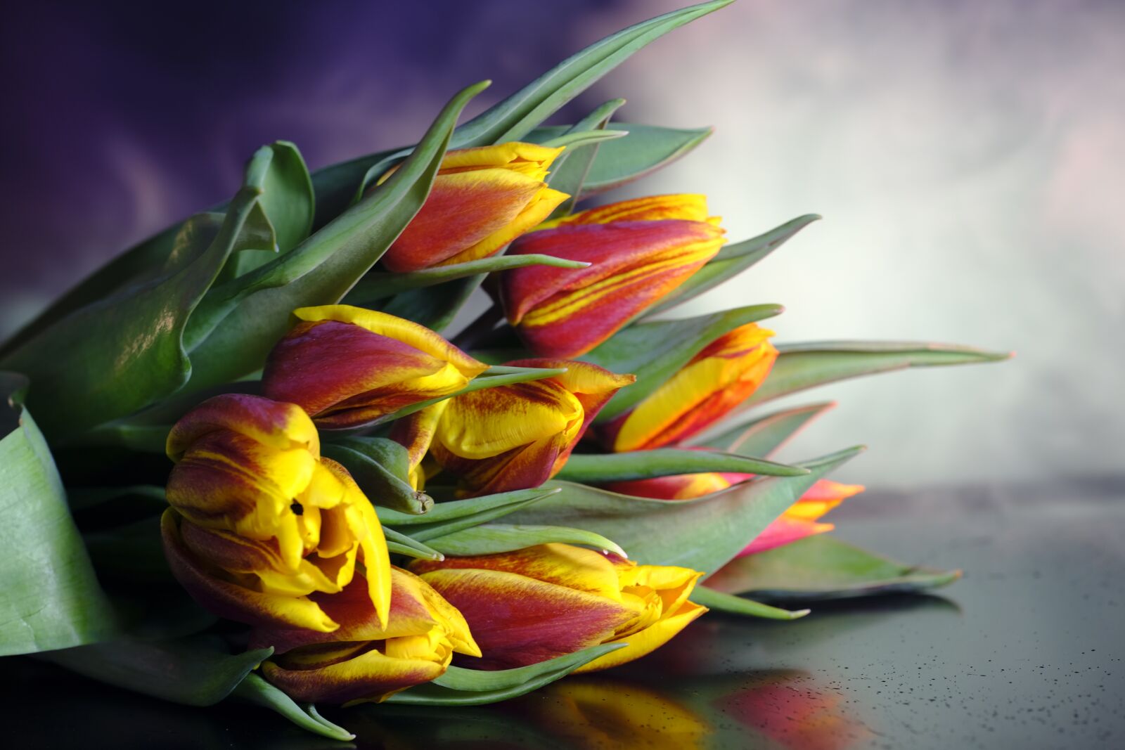 Fujifilm X-T2 + Fujifilm XF 80mm F2.8 R LM OIS WR Macro sample photo. Tulips, tulip bouquet, flowers photography