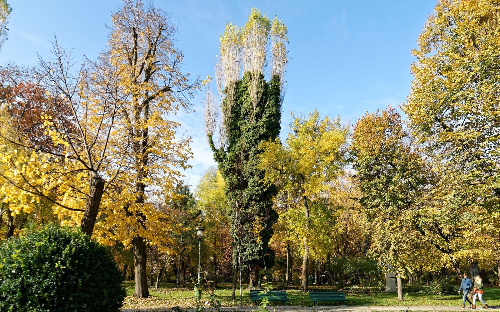Nikon D5300 sample photo. Landscape, nature, park photography